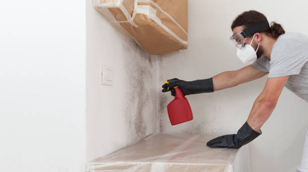 Professional Crawl Space Mold Remediation technician working in Parsippany, NJ