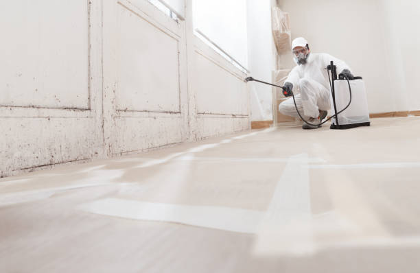 24/7 Emergency Crawl Space Mold Remediation experts in Parsippany, NJ