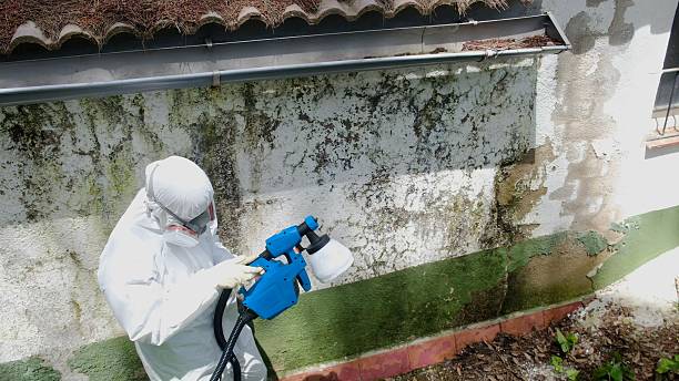 Top rated local Crawl Space Mold Remediation specialists in Parsippany, NJ